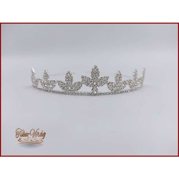 Tiara BACHQ-22404.